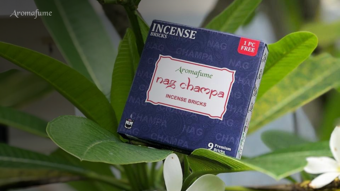 Nag Champa vs Other Incense: What Makes It Unique?