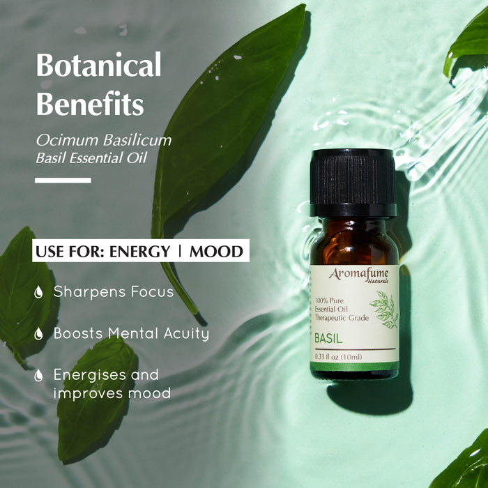 Basil Pure Essential Oil