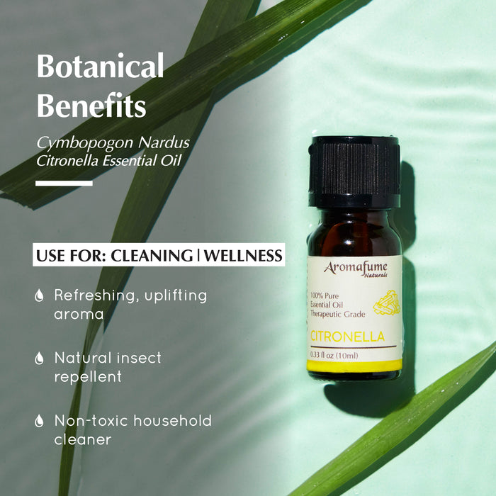 Citronella Pure Essential Oil