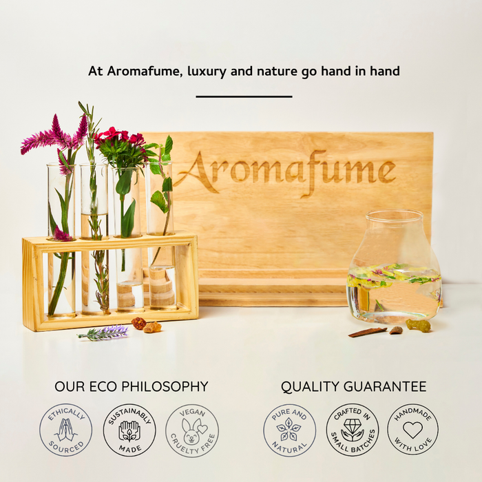 Palo Santo & Sandalwood Incense Bricks and Burner Set