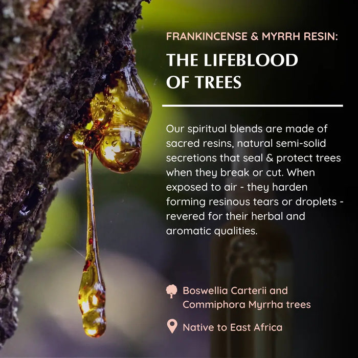 Frankincense & Myrrh Mist and Frankincense Essential Oil Blend