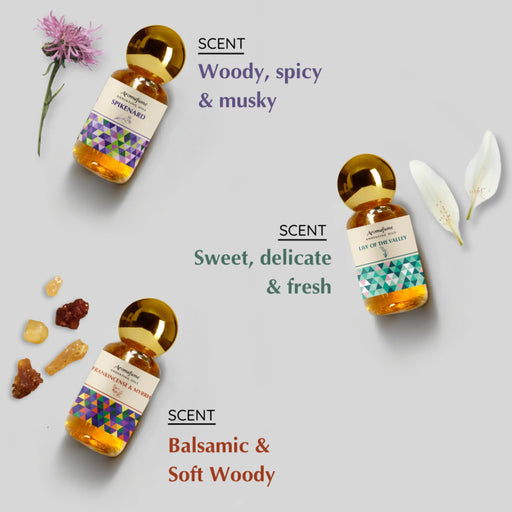 Scent Profile - Woody, Musky, Delicate, Fresh and soft woody