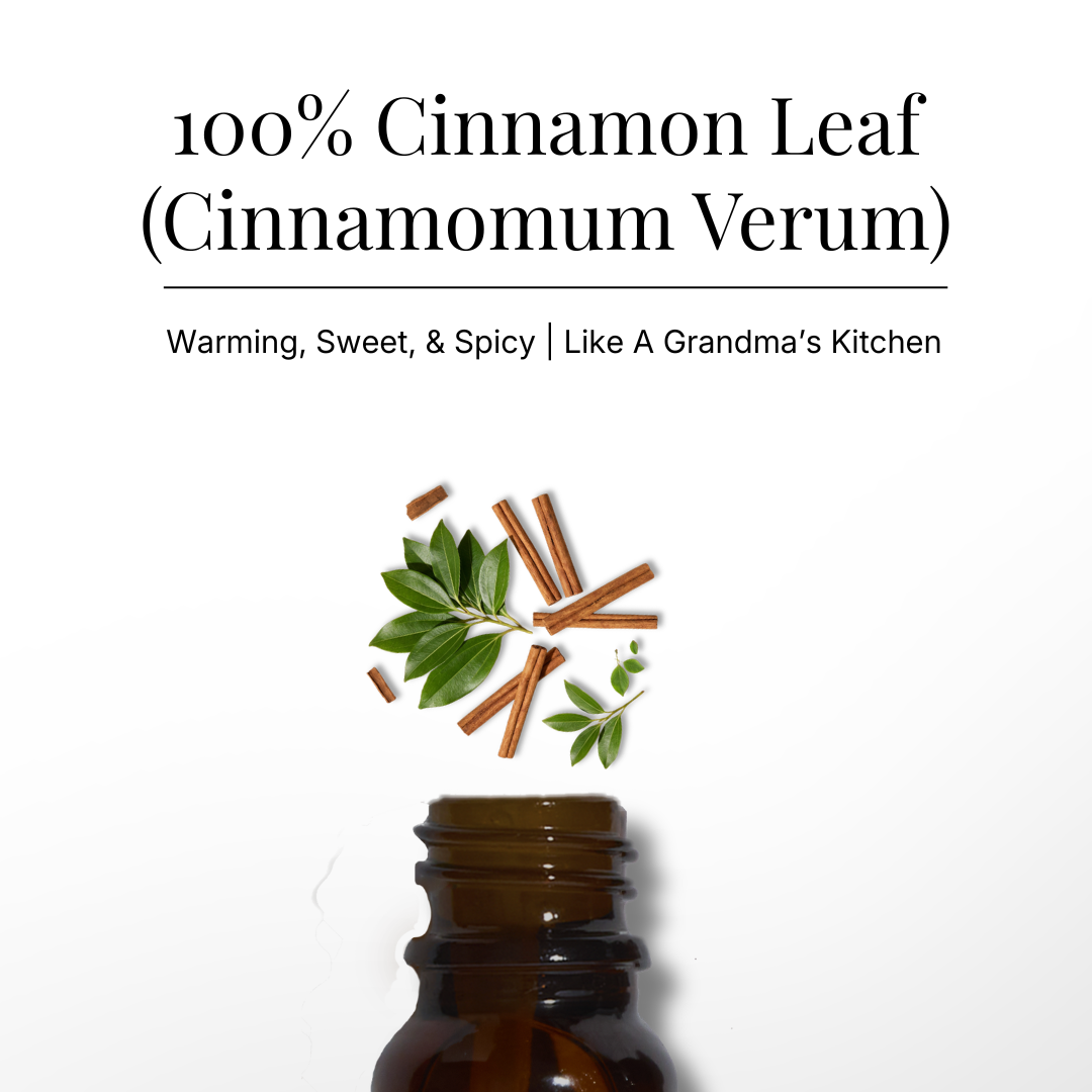 Cinnamon Leaf Pure Essential Oil