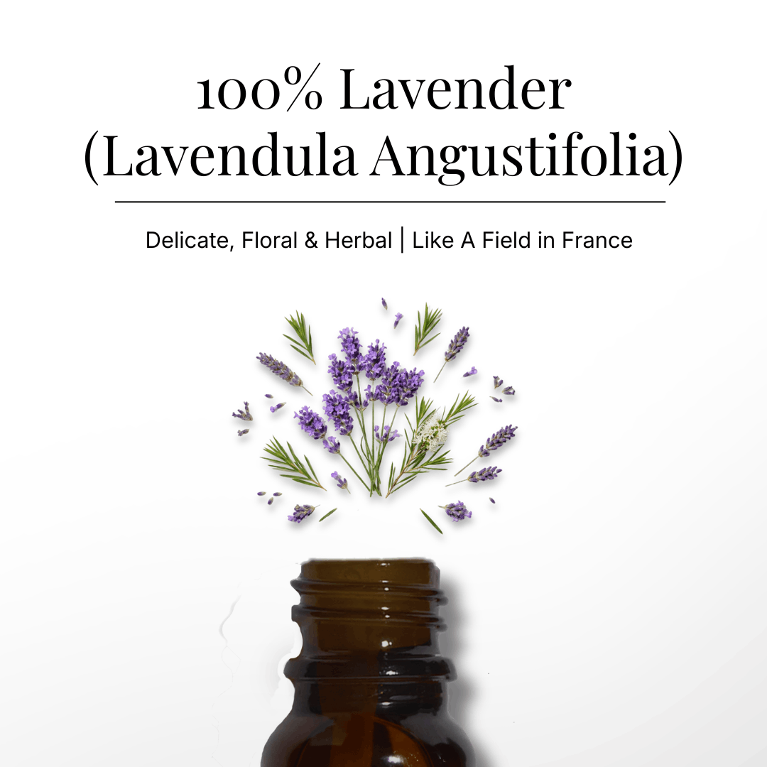 Lavender Pure Essential Oil