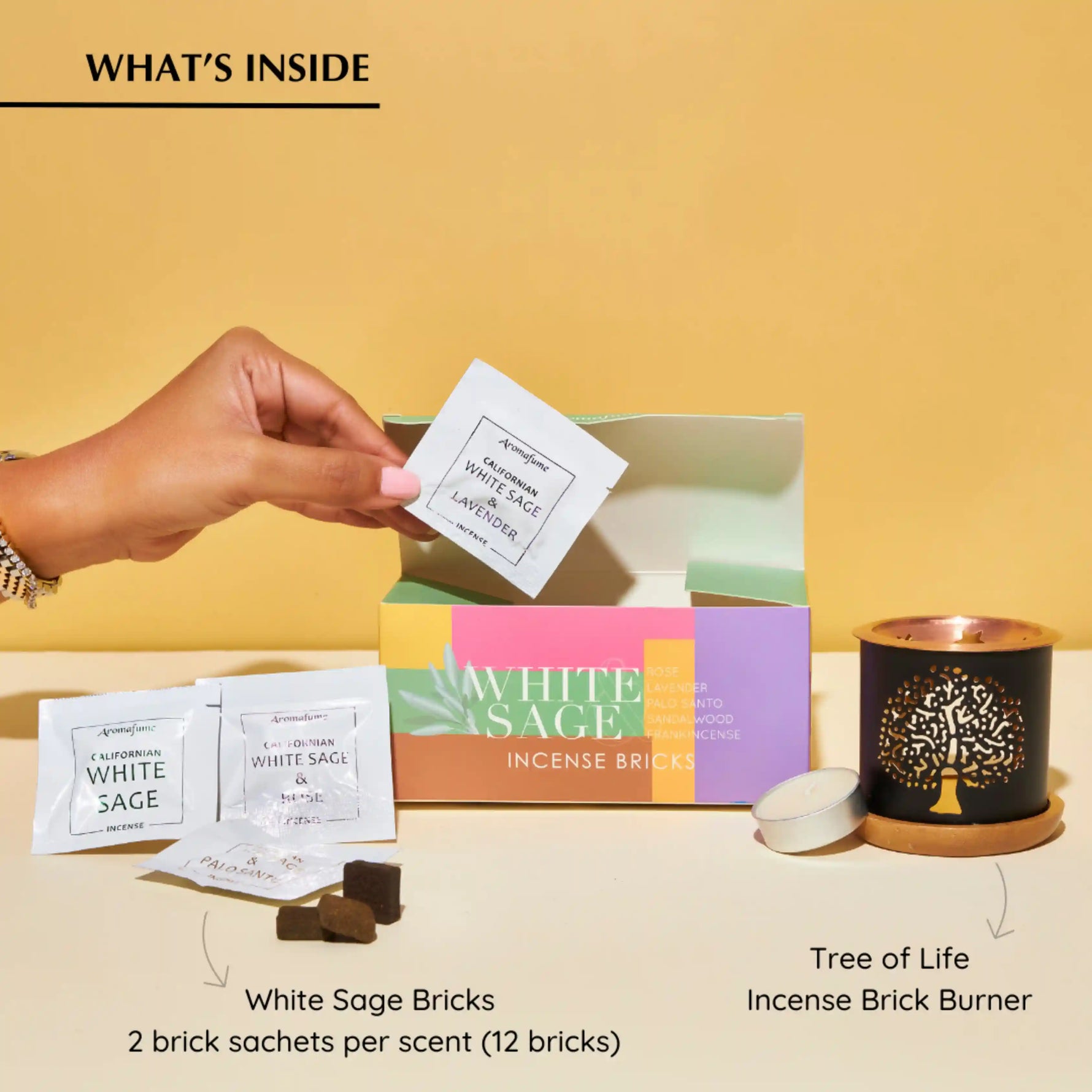 What's Inside The Box