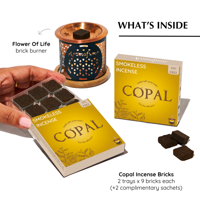 Copal Incense Bricks & Burner Set