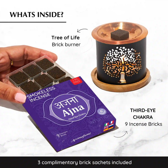 Whats inside the box