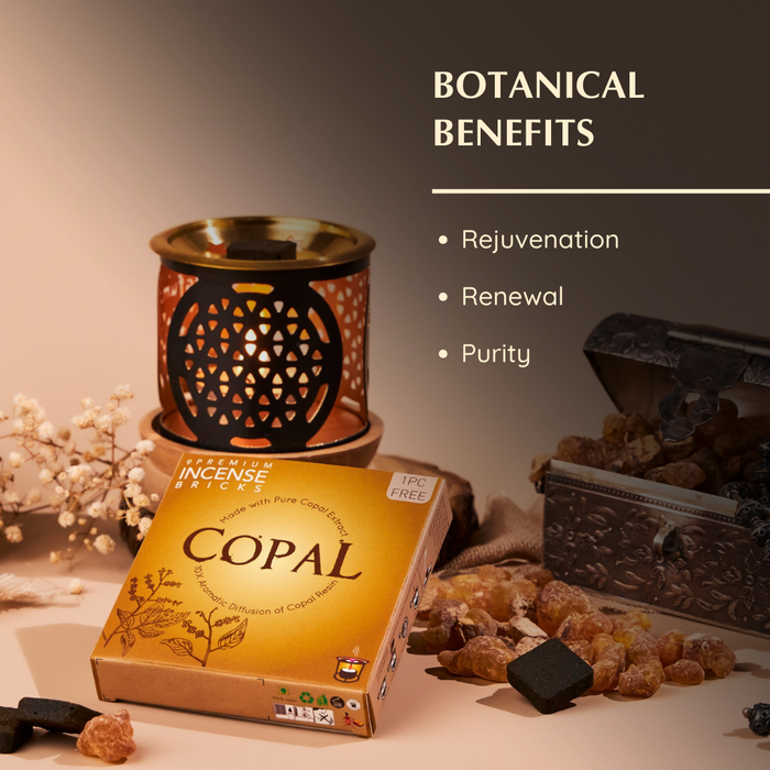 Copal Incense Bricks & Burner Set