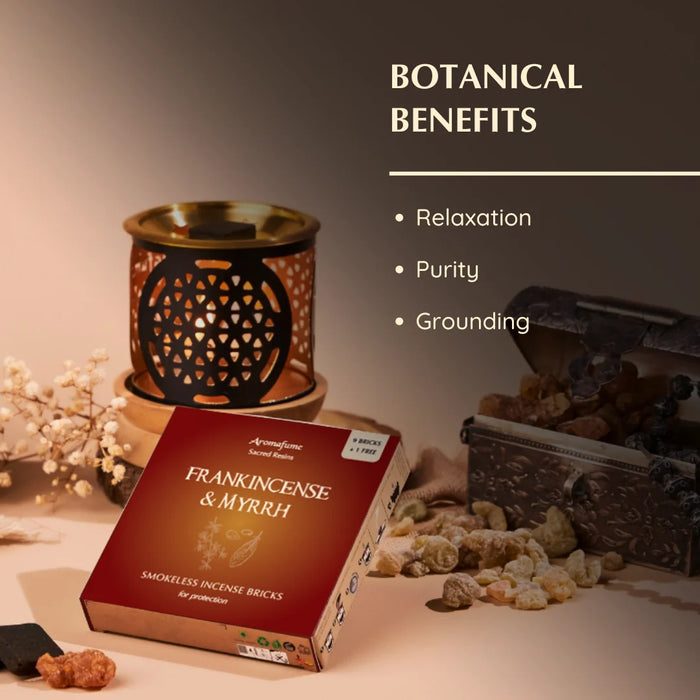 Frankincense & Myrrh Incense Bricks Refill Pack (Single Tray)