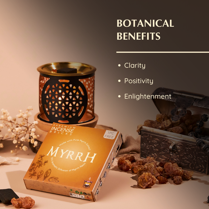 Myrrh Incense Bricks Refill Pack (Single Tray)