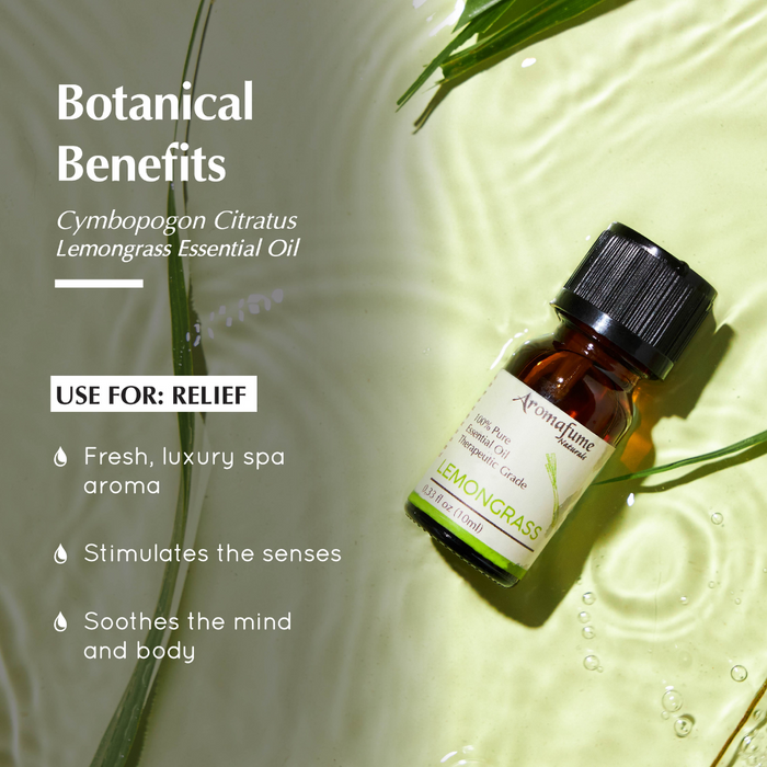 Lemongrass Pure Essential Oil & Burner Bundle