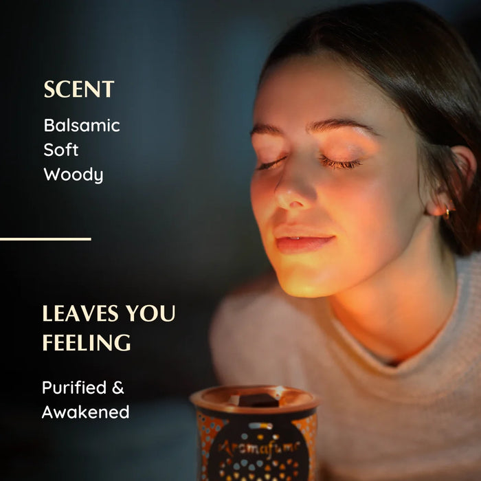 Frankincense & Myrrh Incense Bricks Refill Pack (Single Tray)