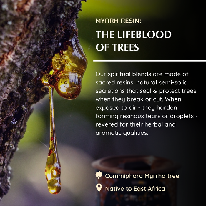 Myrrh Incense Bricks Refill Pack (Single Tray)