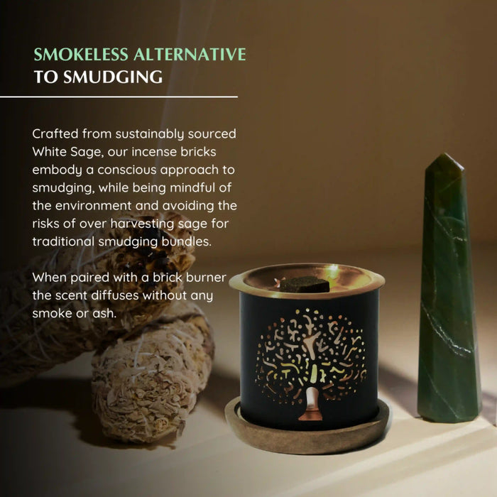 Ethically sourced White Sage that is smokefree and a conscious approach to smudging, while being mindful of the environment