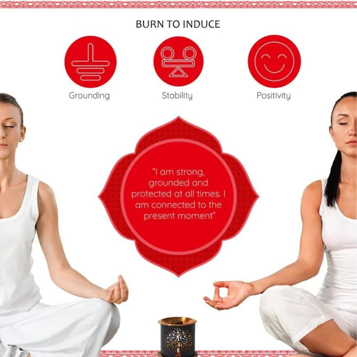 Burn Root Chakra incense to induce grounding, stability and positivity.