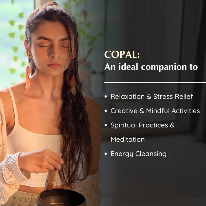 Copal Incense Bricks Refill Pack (Single Tray)