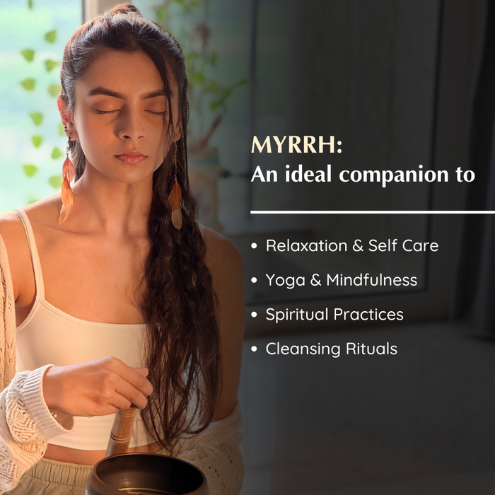 Myrrh Incense Bricks Refill Pack (Single Tray)