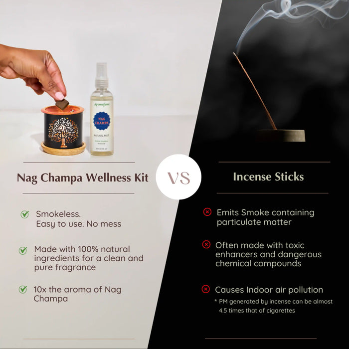Benefits - All natural, easy to use, no toxins, vegan, Smokeless Incense