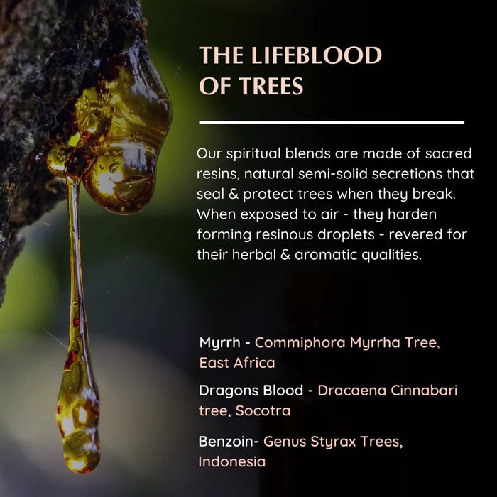 Resin origins: Frankincense (Boswellia), Three Kings (Boswellia, Commiphora), Copal (Protium)