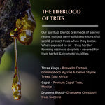 Resin origins: Boswellia, Commiphora, Protium (Copal), Dracaena (Dragon’s Blood) – sacred tree sources