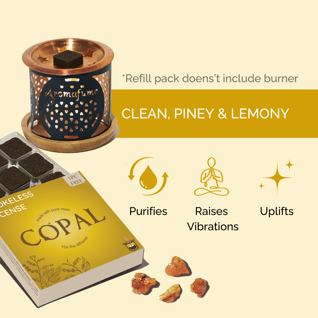 Copal Incense Bricks Refill Pack (Single Tray)
