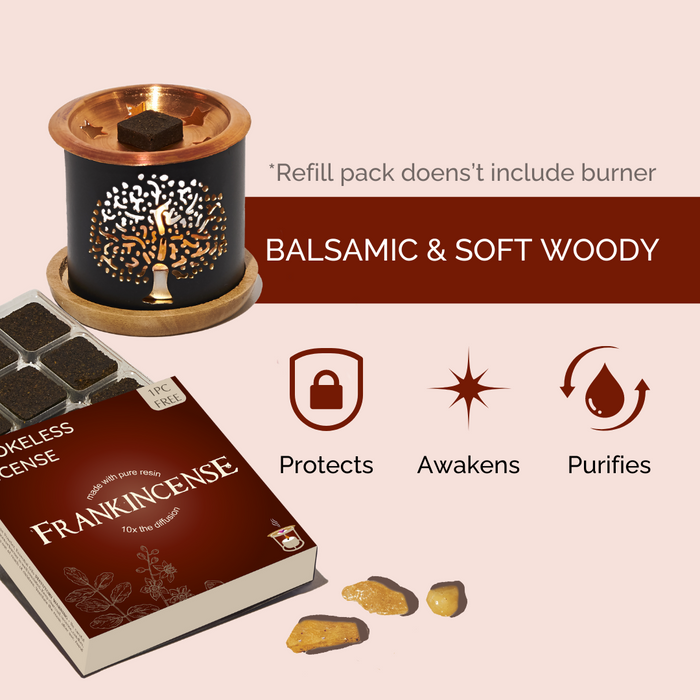 Frankincense Incense Bricks Refill Pack (Single Tray)