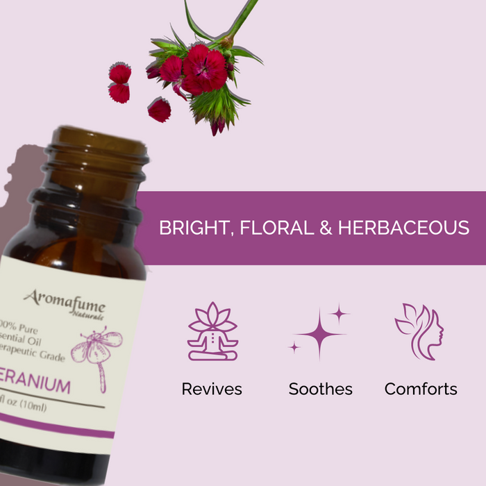 Geranium Pure Essential Oil